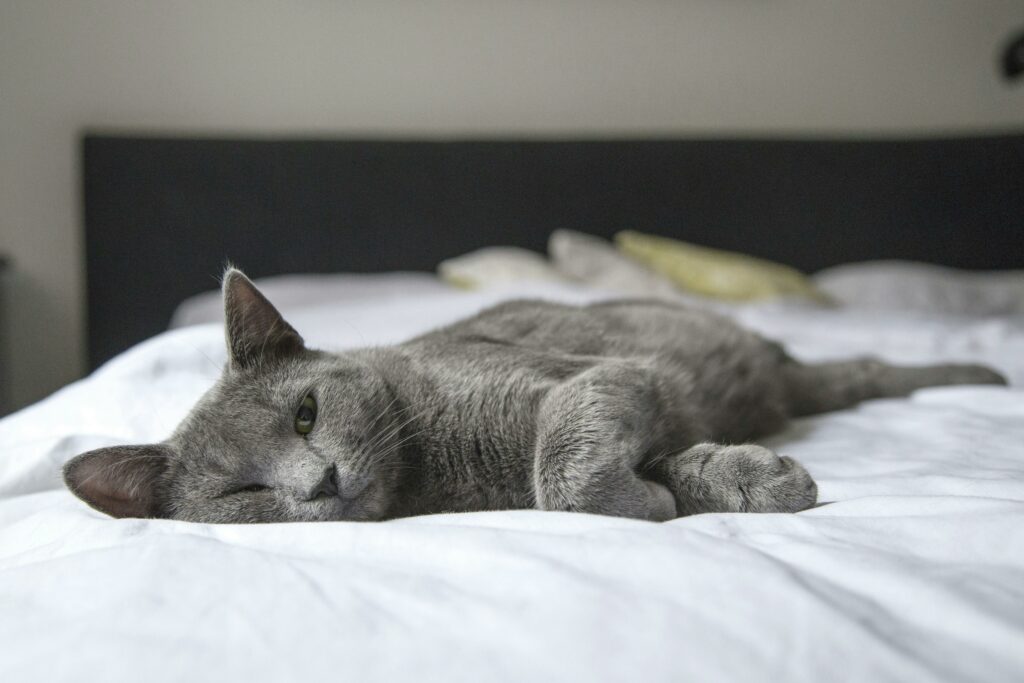 Gare au manque de sommeil